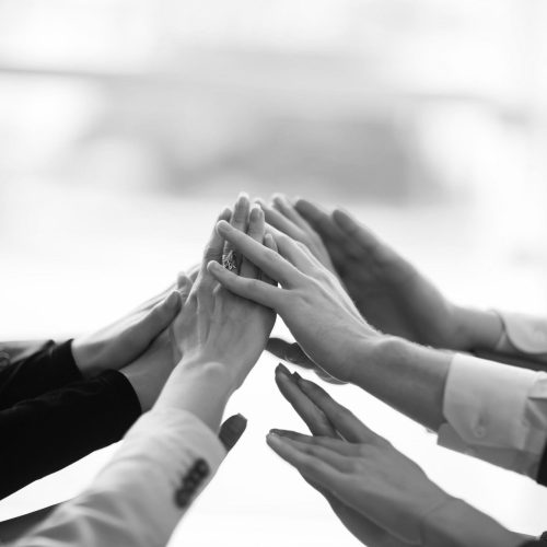 wepik-export-20231205184701eI88